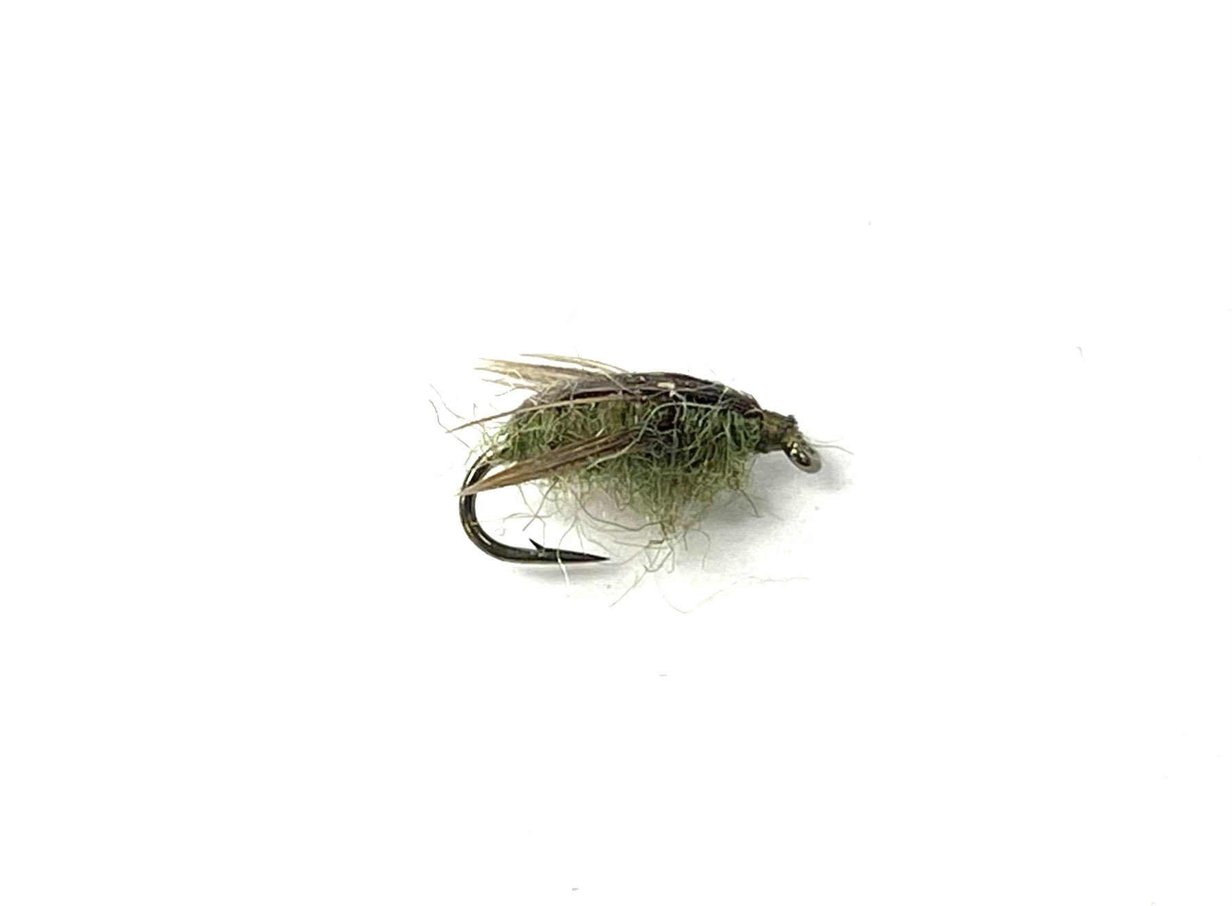 Reg's Water Boatman